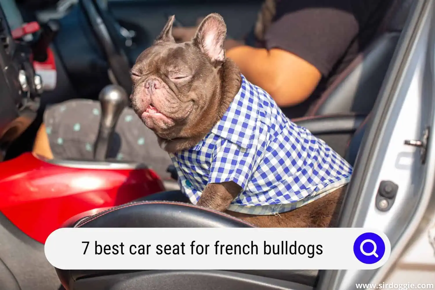 best car seat for french bulldogs