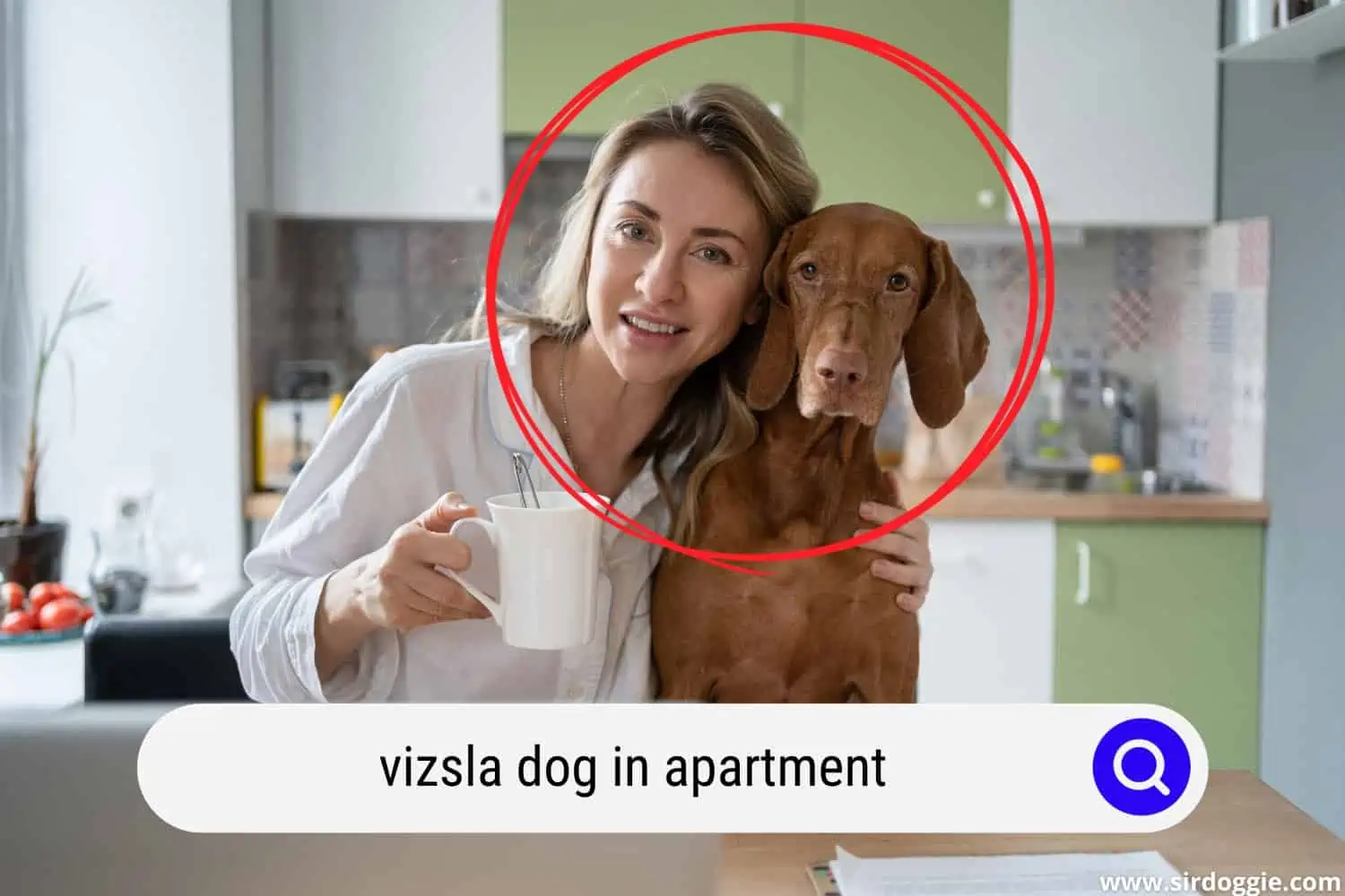 Owner together with Vizsla dog inside the apartment