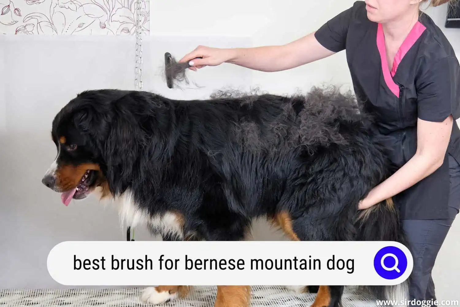 best brush for bernese mountain dog