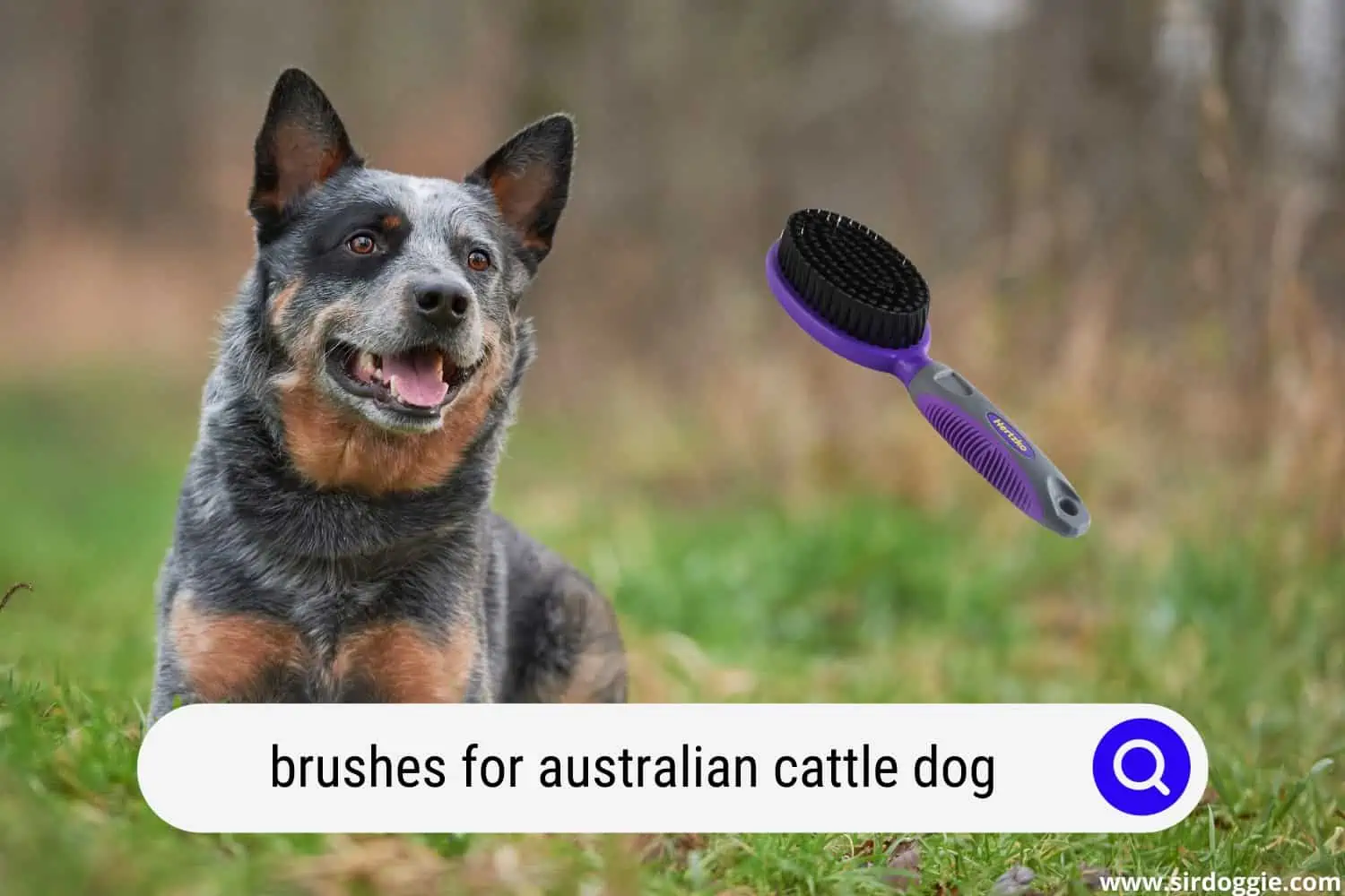 brush for australian cattle dog