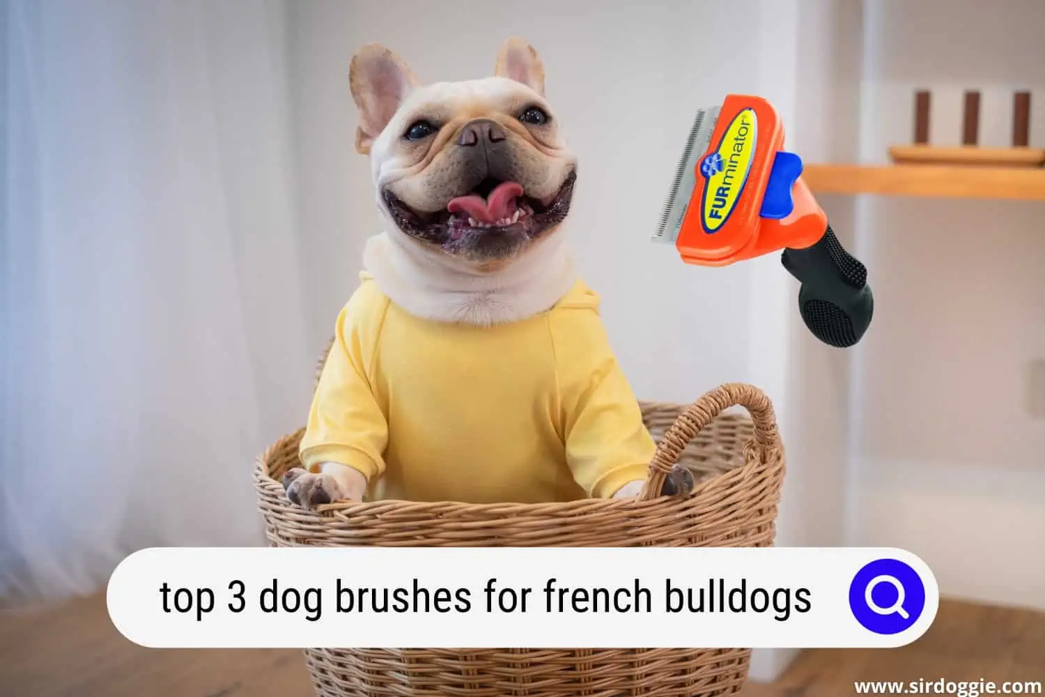 dog brushes for french bulldogs