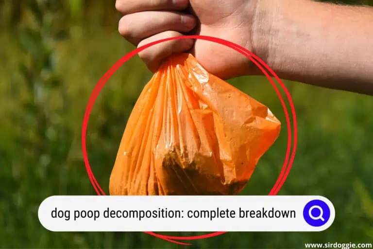 Complete Breakdown Of Dog Poop Decomposition In 9 Weeks