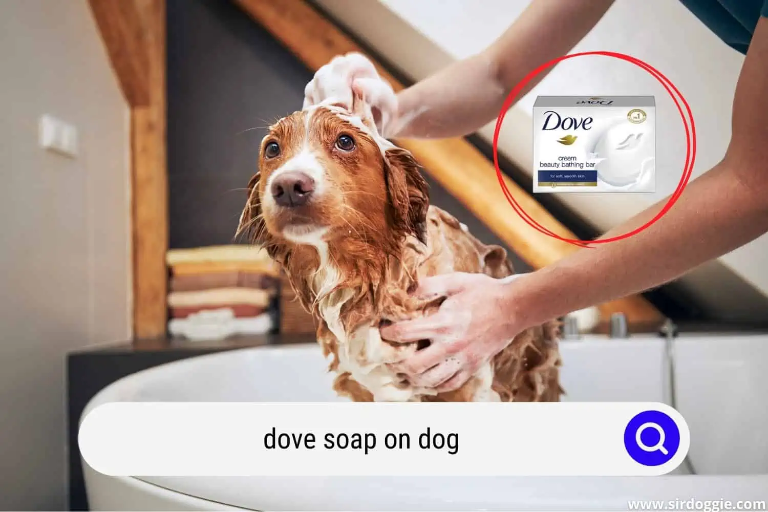owner using dove soap in bathing dog