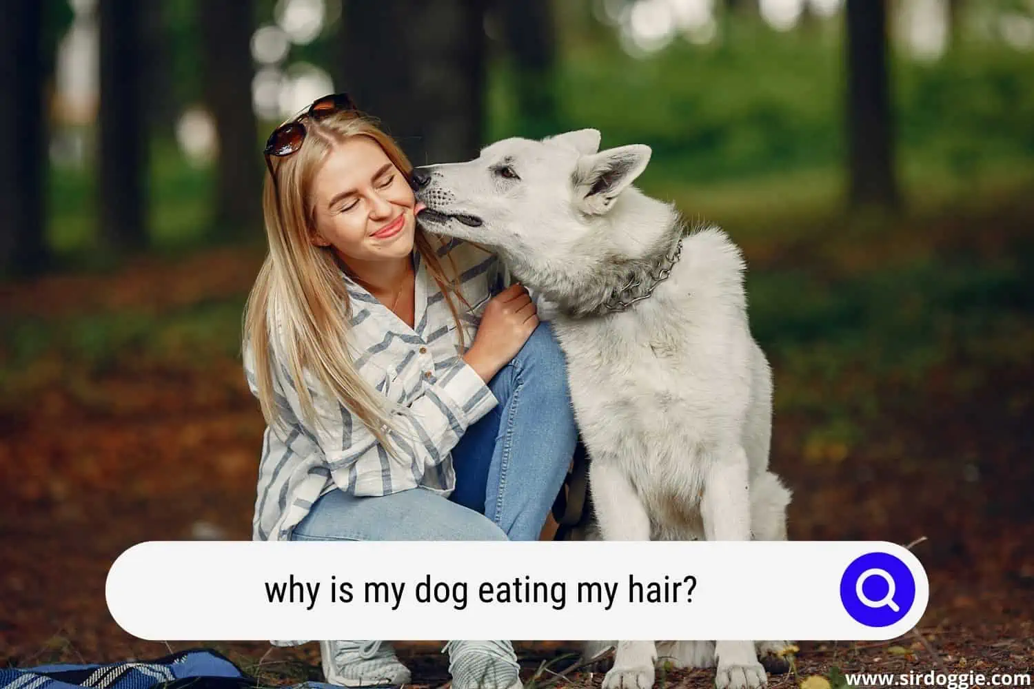 why dog eat my hair