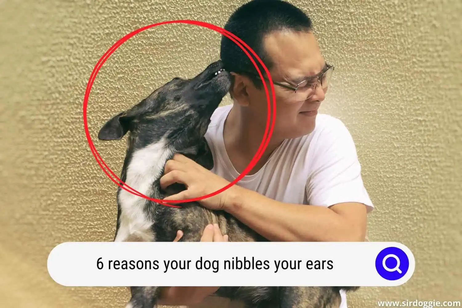 why dog nibble my ear