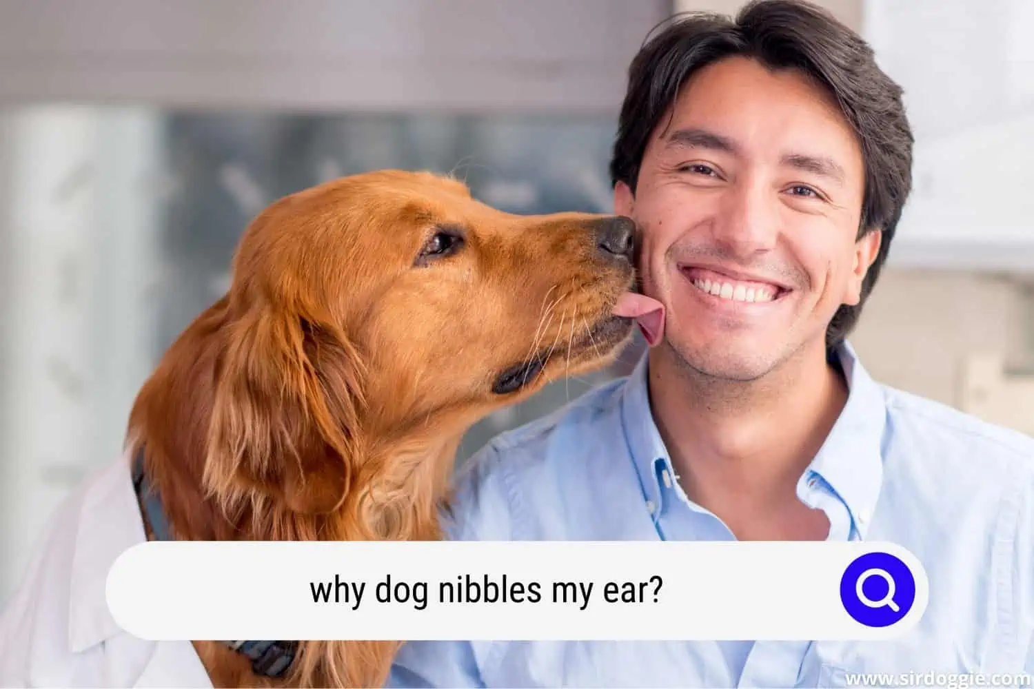 dog nibbles owner's ear