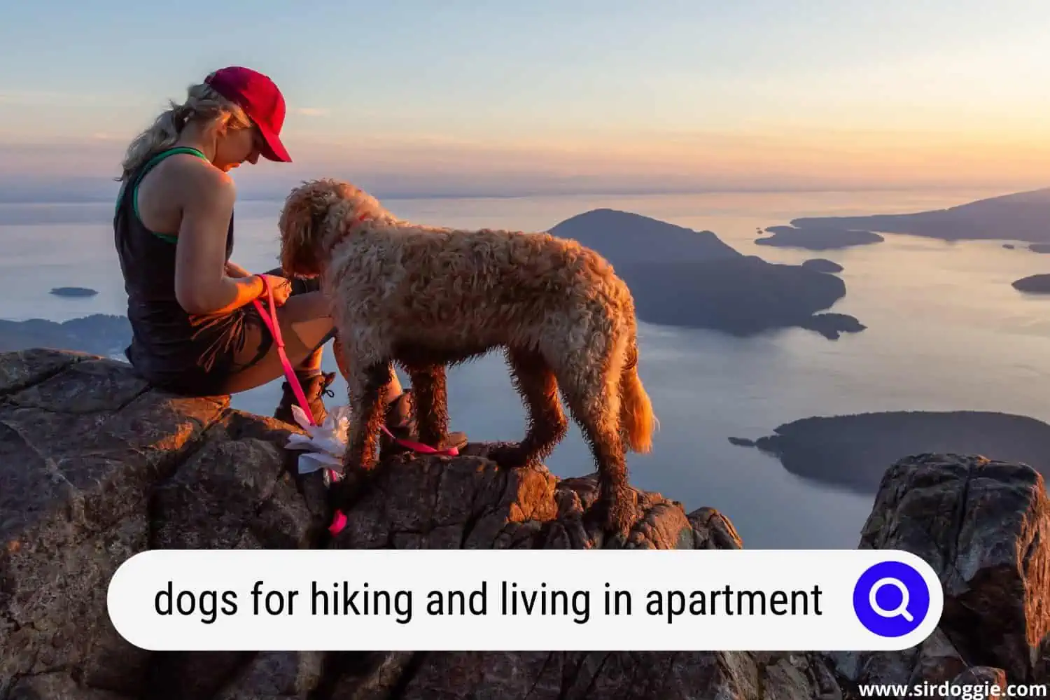 dogs for hiking and living in apartment
