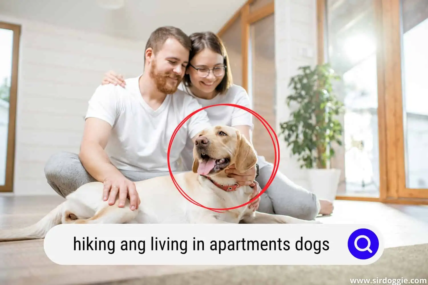 couple with dog in apartment