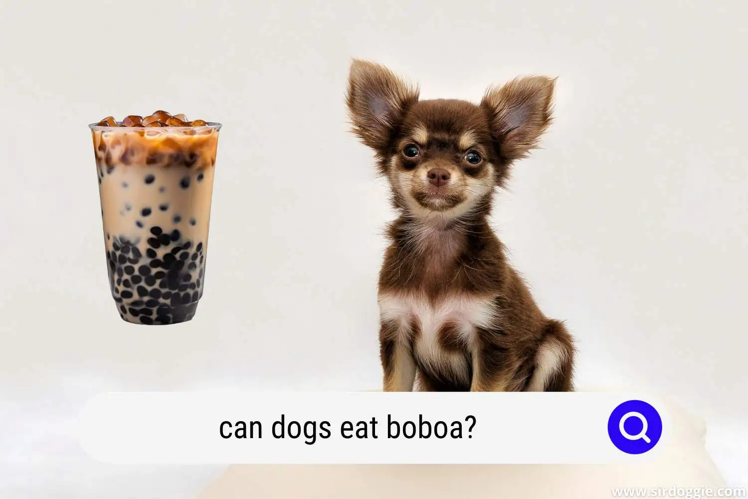 can dogs eat boboa