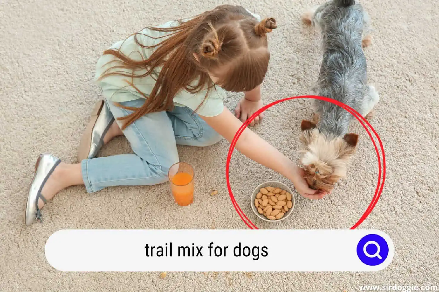 Careless Little Girl with Dog Eating Nuts and Drinking Juice While Sitting on Carpet