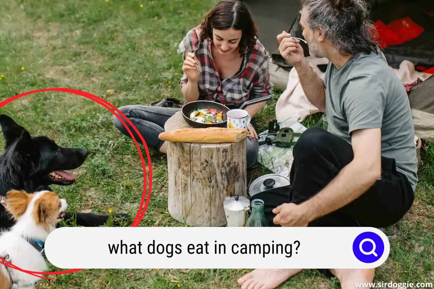 Couple Eating Together at the Campsite with Dogs