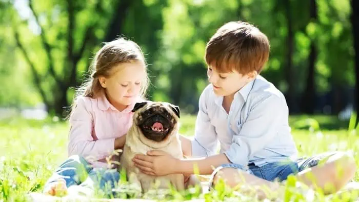 are pugs good with kids