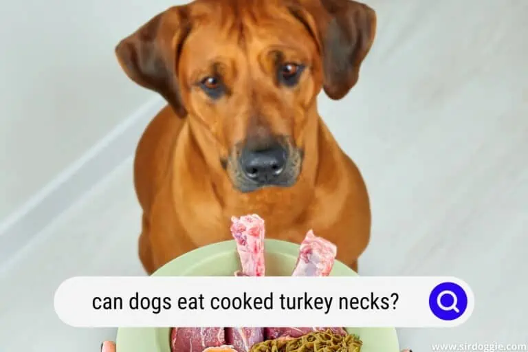 Can Dogs Eat Cooked Turkey Necks?