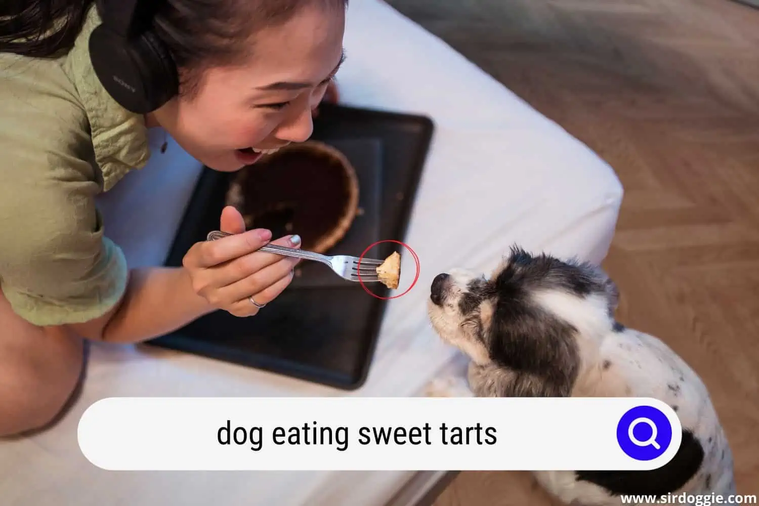 Young pretty Asian woman eating delicious chocolate tart on bed with her dog