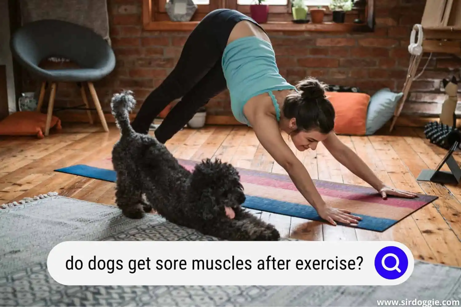 do dogs get sore muscles