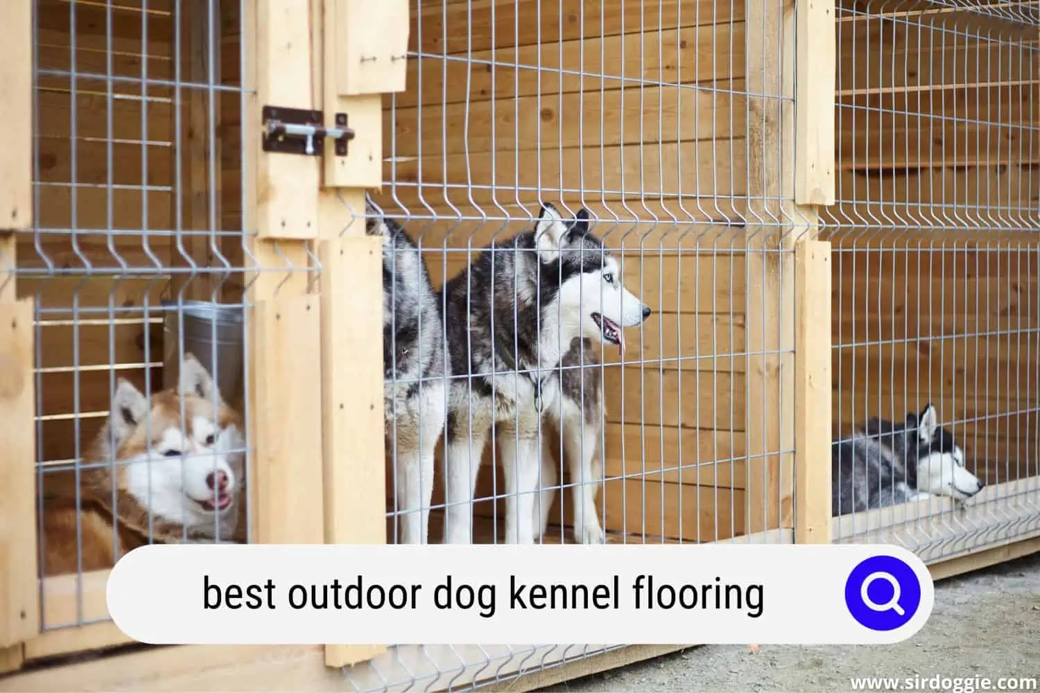 best outdoor dog kennel flooring