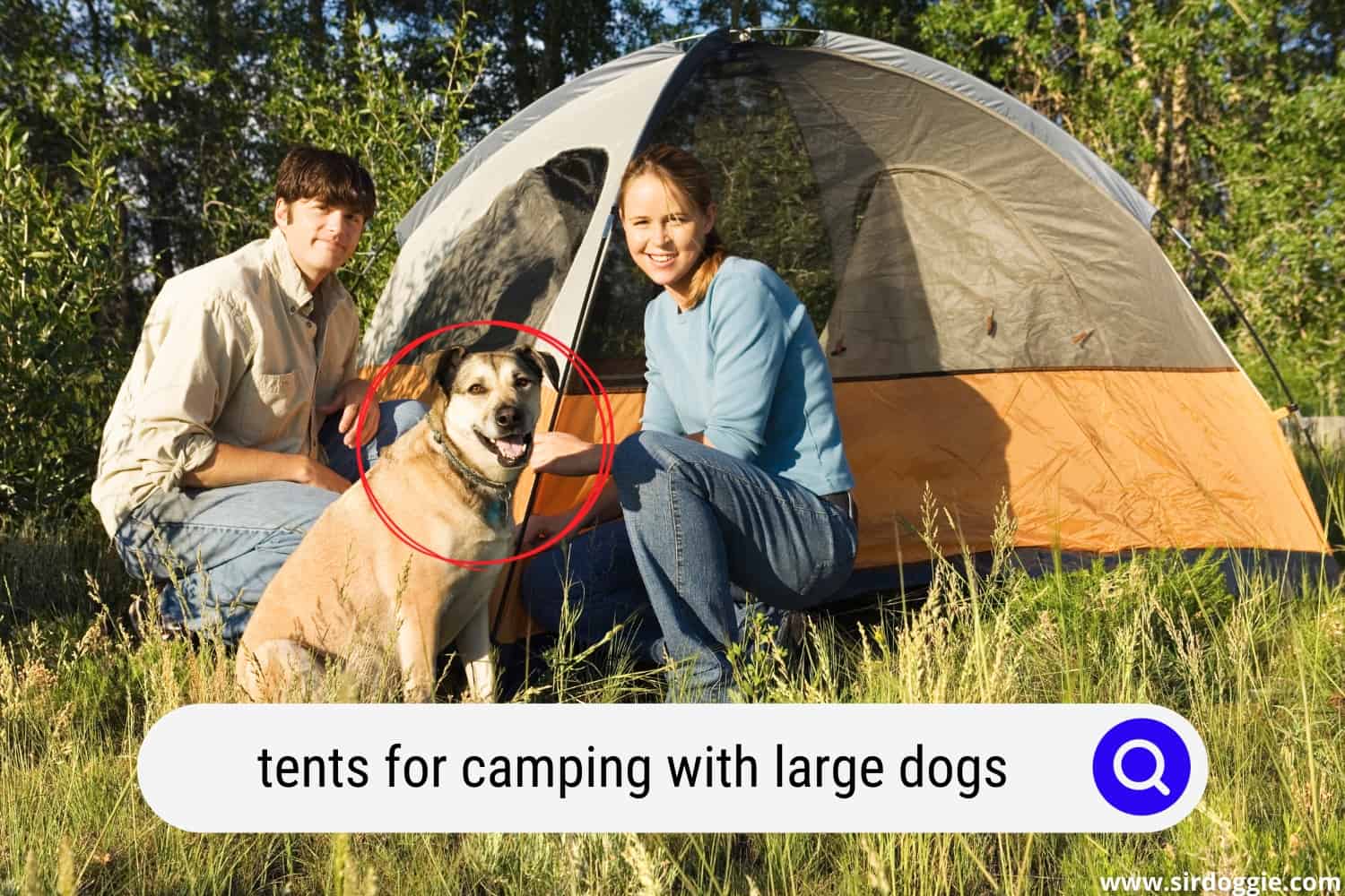 tent for camping with large dogs