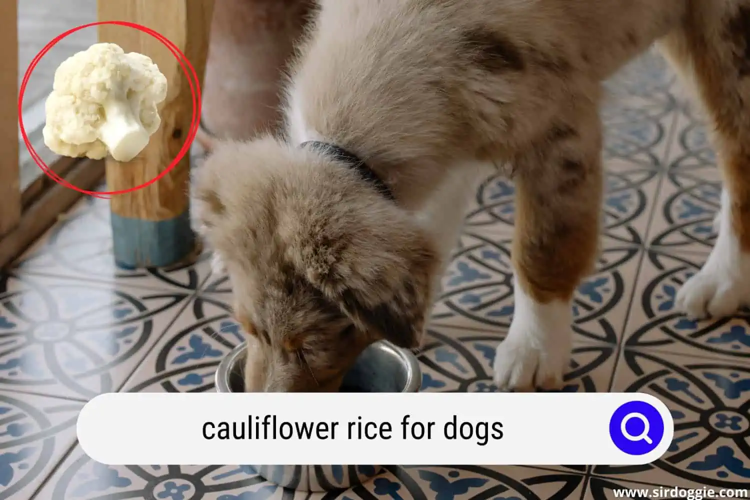 cauliflower rice for dogs