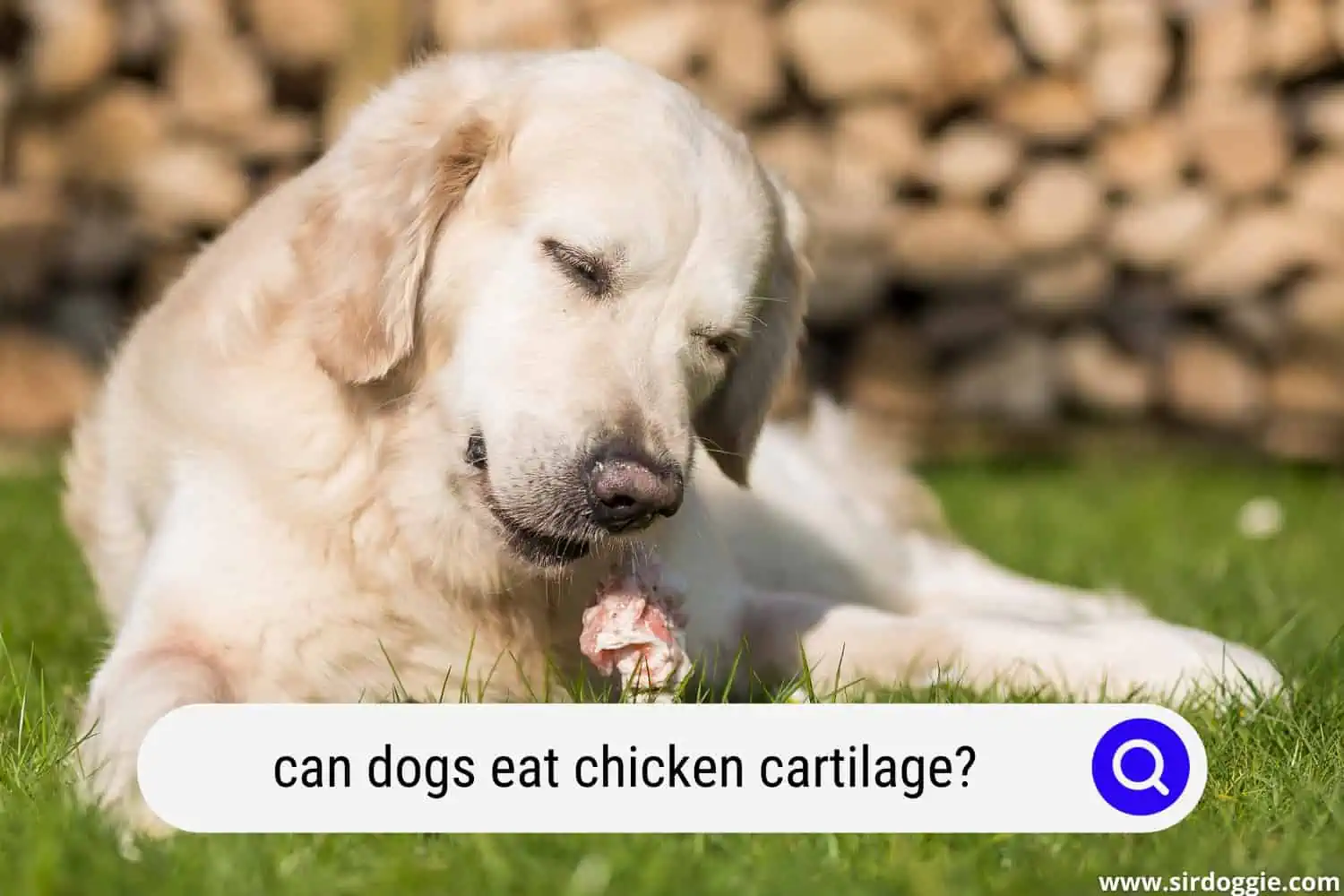 can dogs eat chicken cartilage