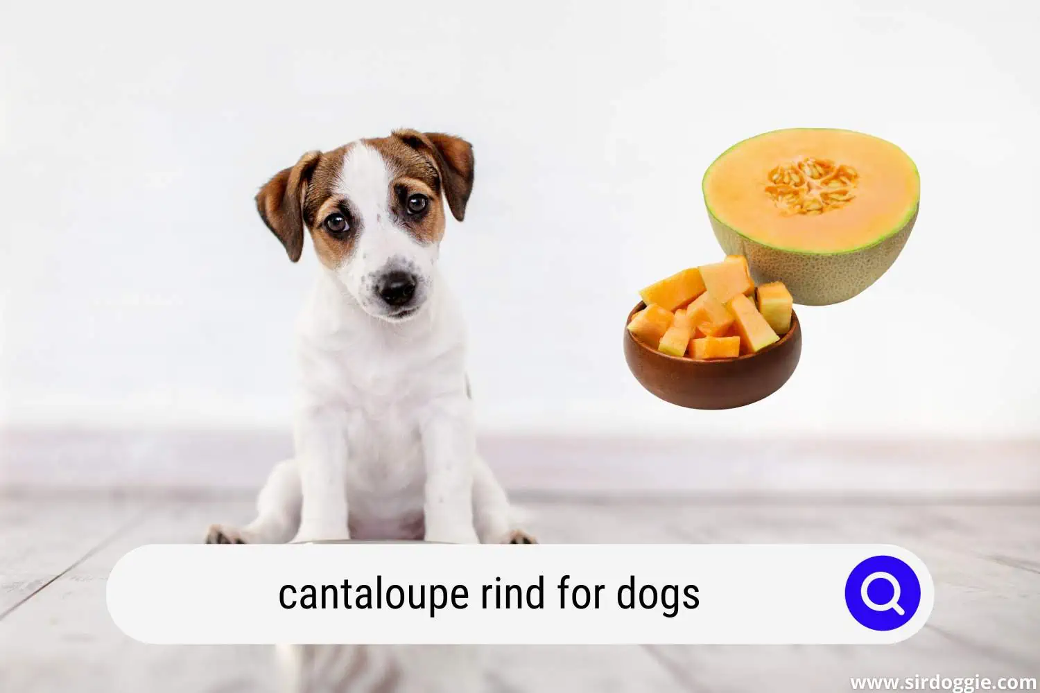 cantaloupe rind for dogs
