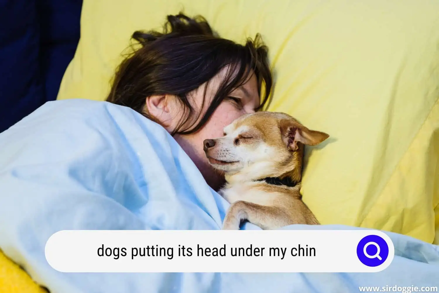 dog putting its head under owners chin while asleep