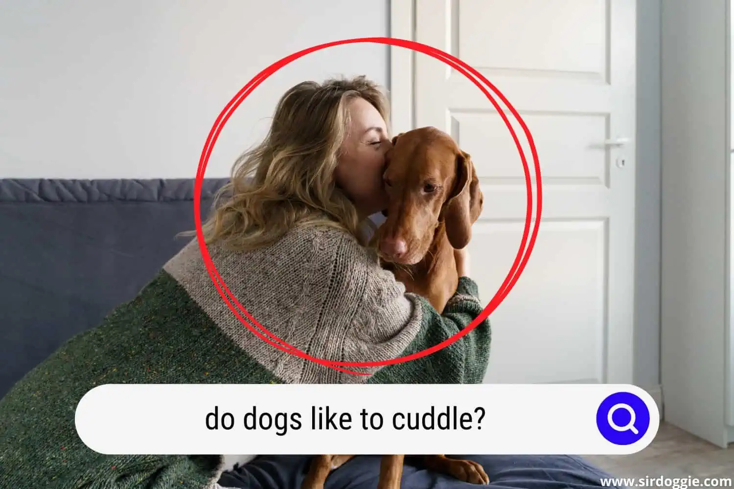 do dogs like to cuddle