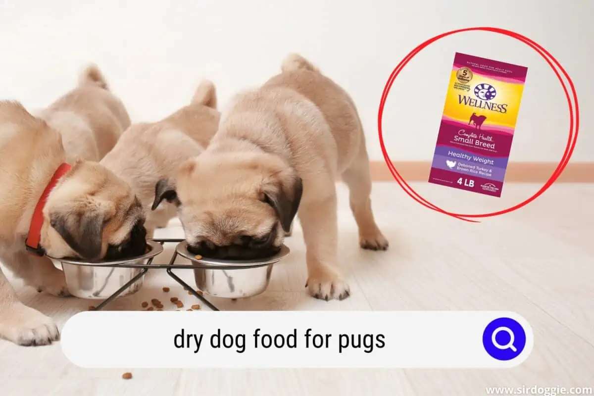 dry dog food for pugs