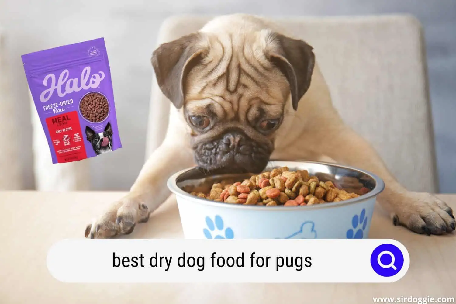 best dry dog food for pugs