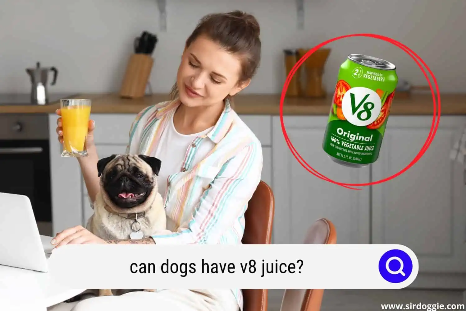 can dogs have v8 juice