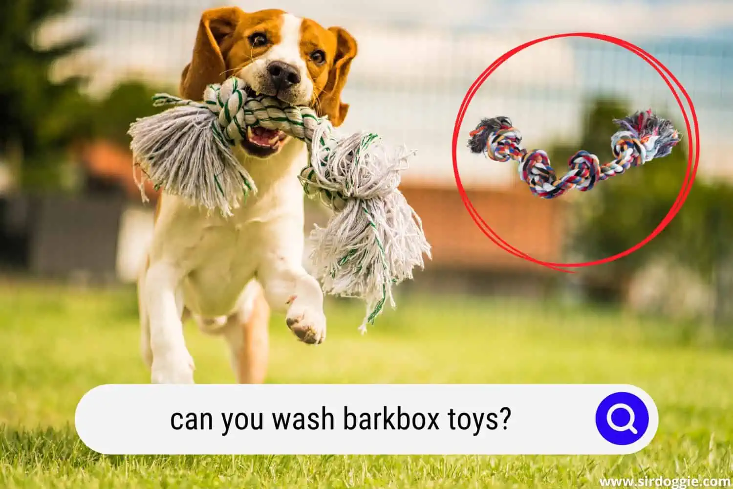 can you wash barkbox toys
