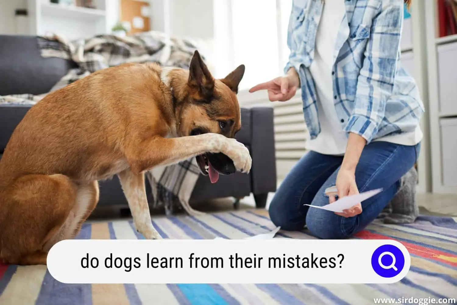 do dogs learn from their mistakes