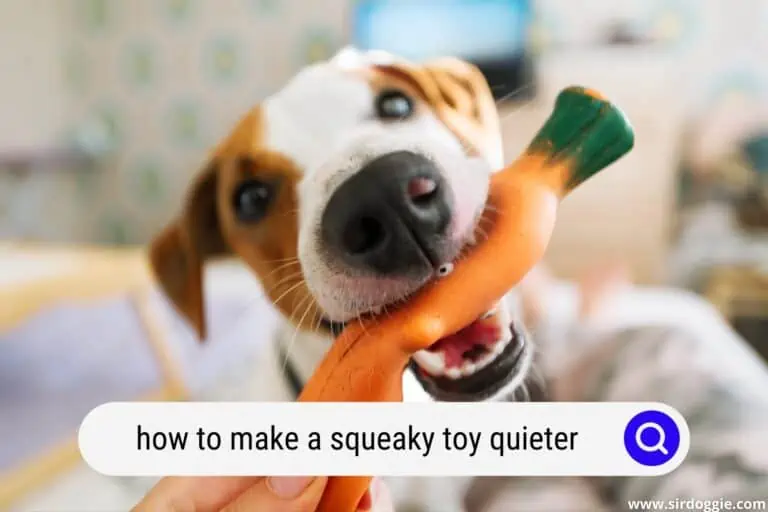 How to Make a Squeaky Toy Quieter