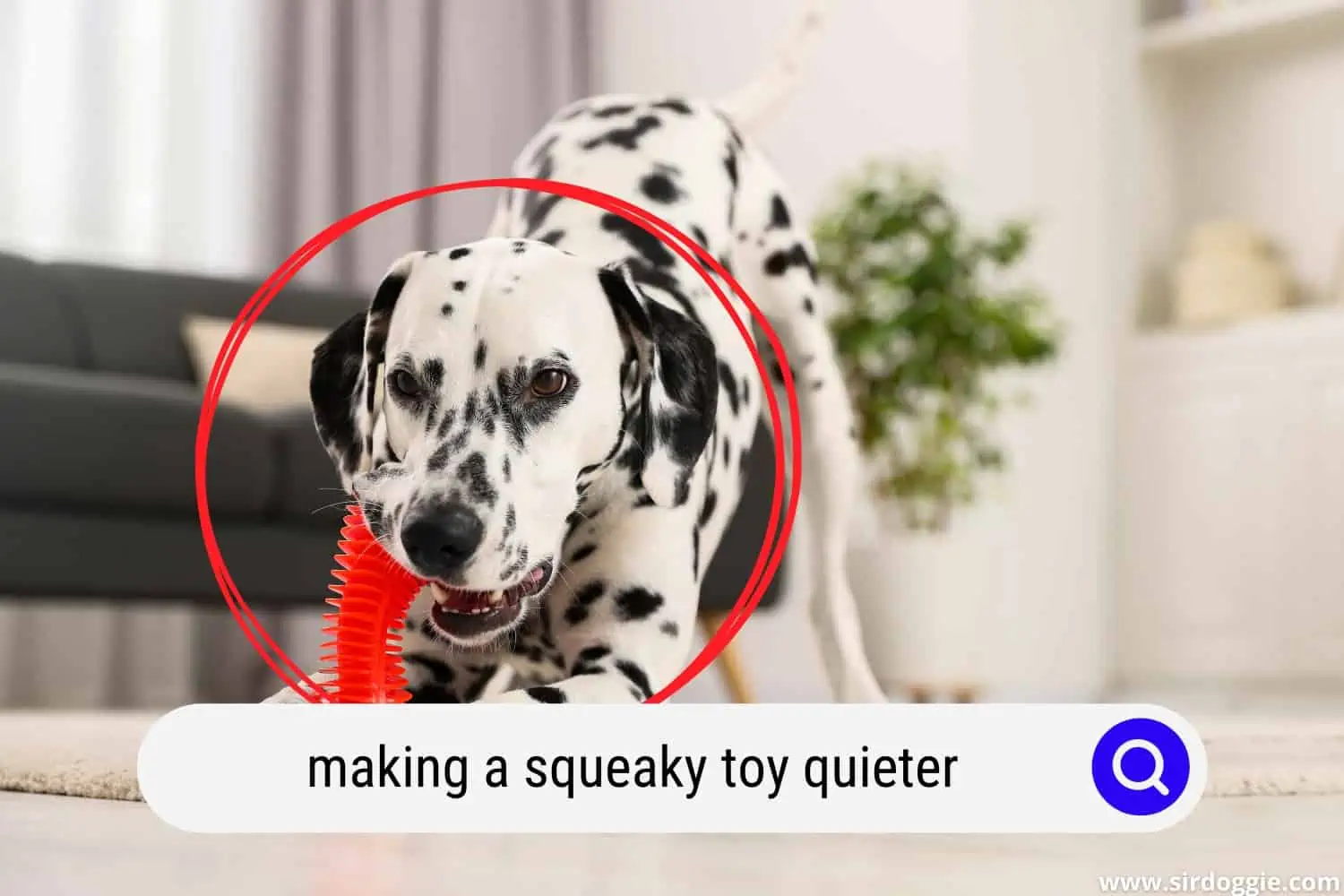 adorable dalmatian dog playing with a squeaky toy indoor