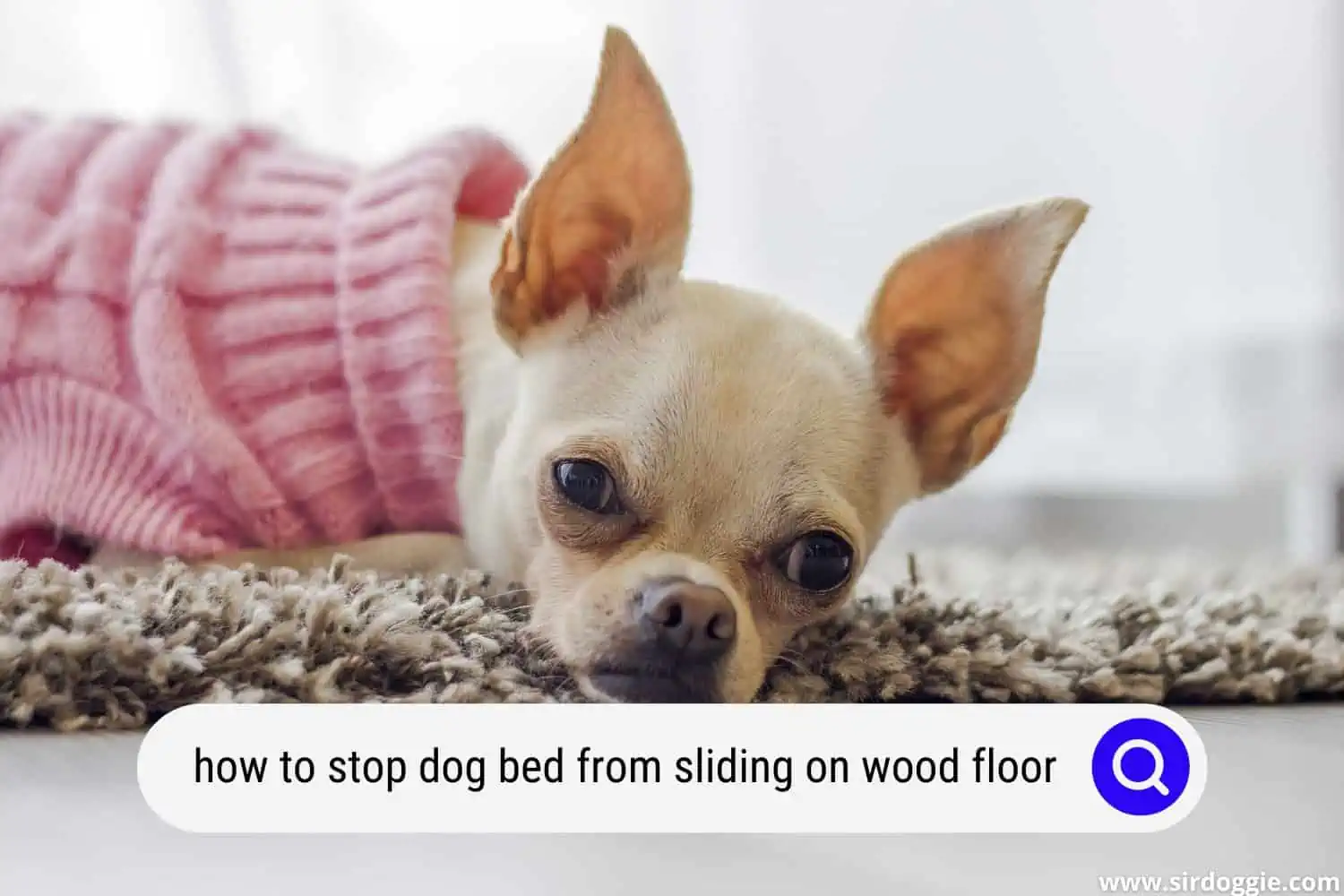 how to stop dog bed from sliding on wood floor