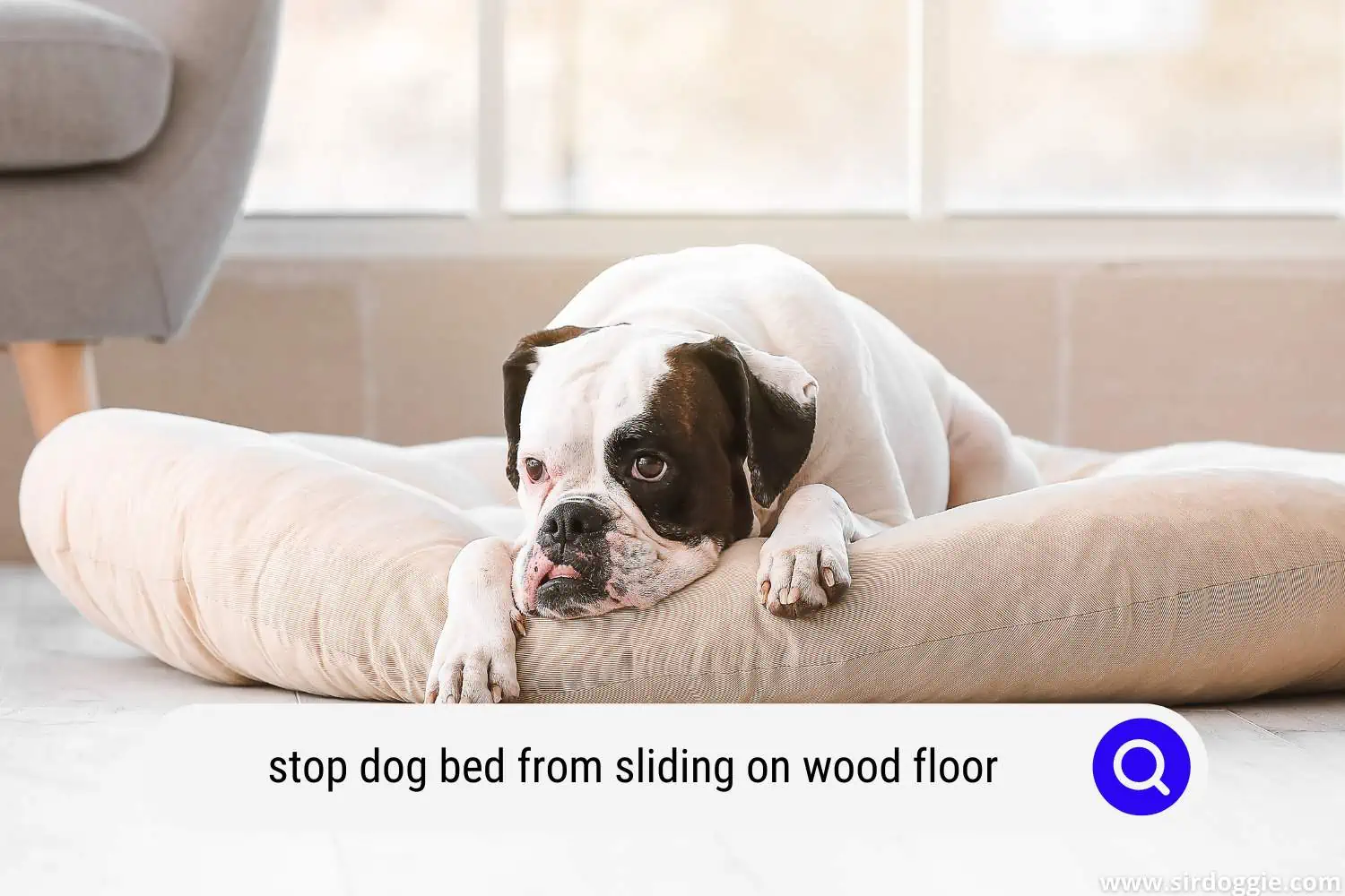 stop dog bed from sliding on wood floor