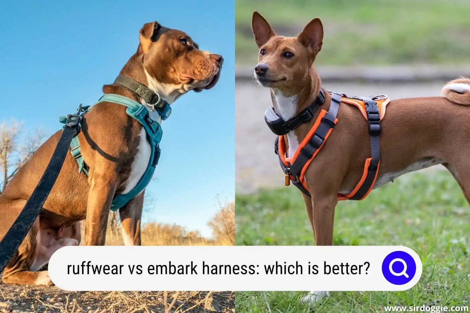 ruffwear vs embark harness