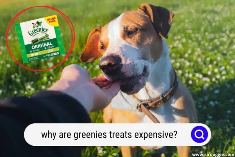 Why Are Greenies Treats Expensive?