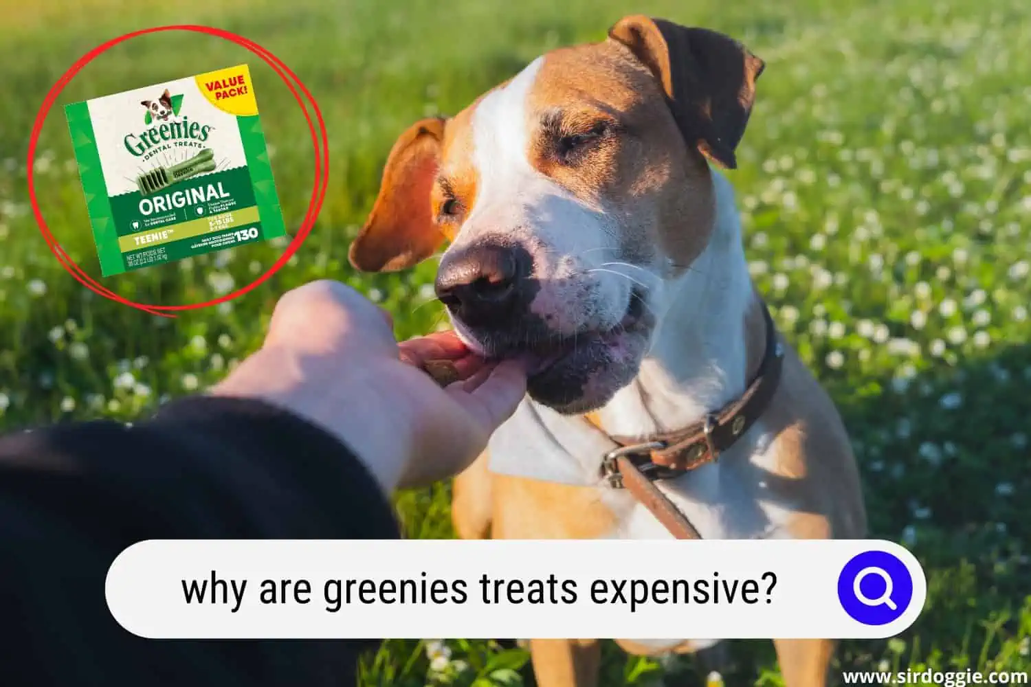 why are greenies treats expensive