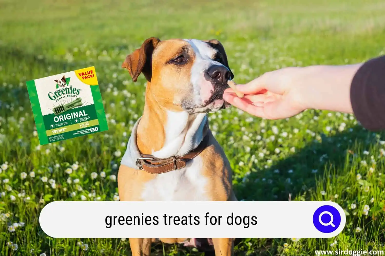 greenies treats for dogs