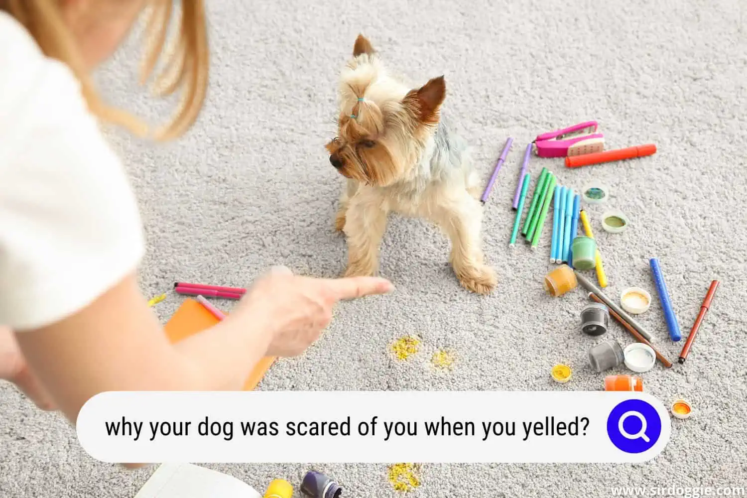 why your dog was scared of you when you yelled