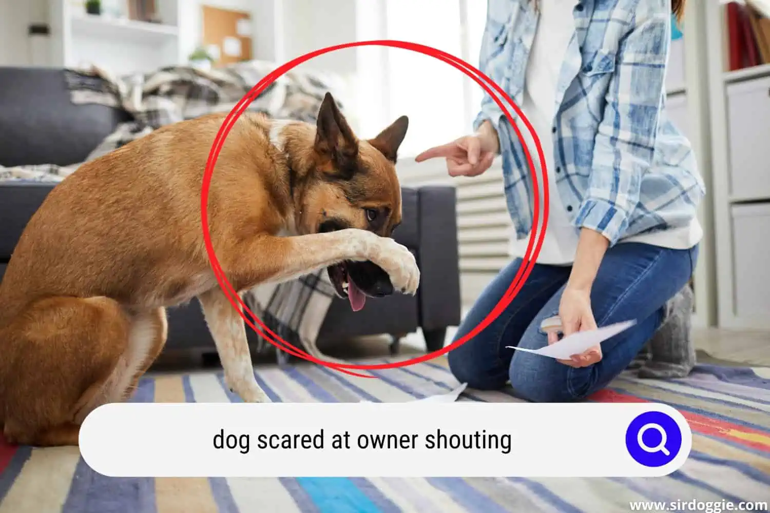 dog scared at owner shouting