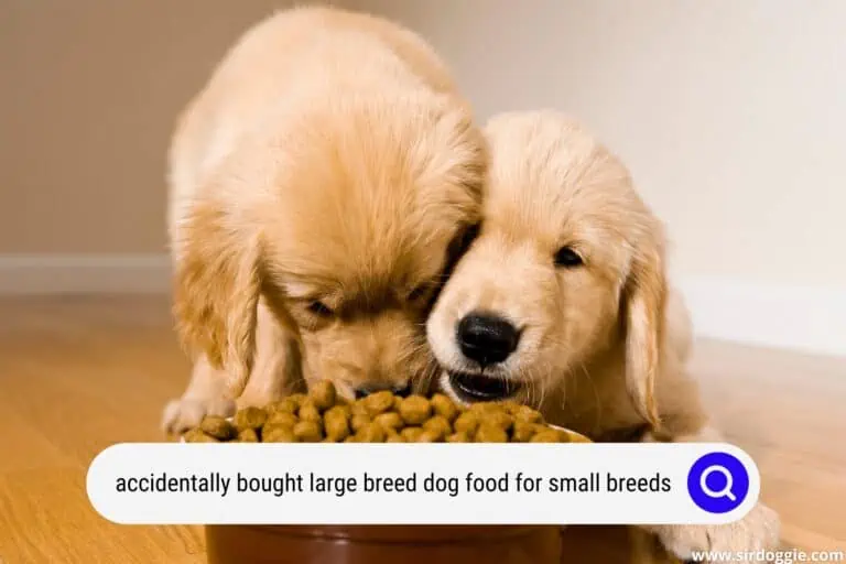 Accidentally Buying Large Breed Dog Food for Small Breeds: What To Do