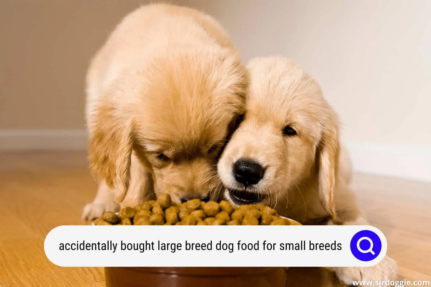accidentally bought large breed dog food for small breeds