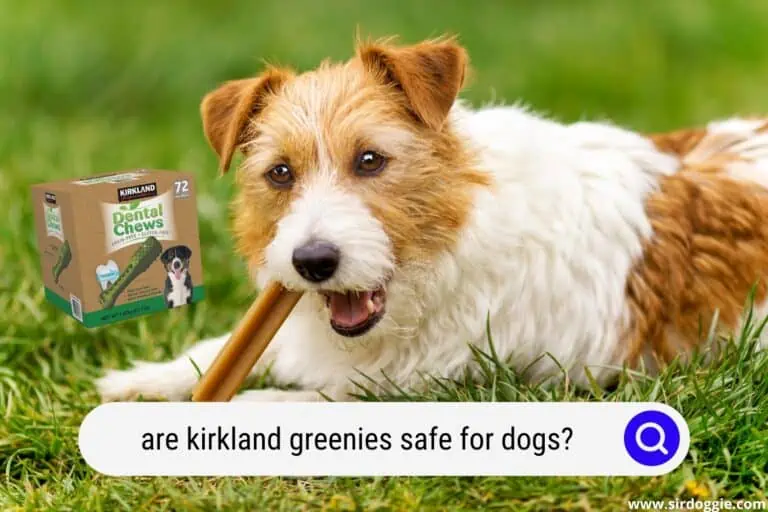 Are Kirkland Greenies Safe For Dogs?