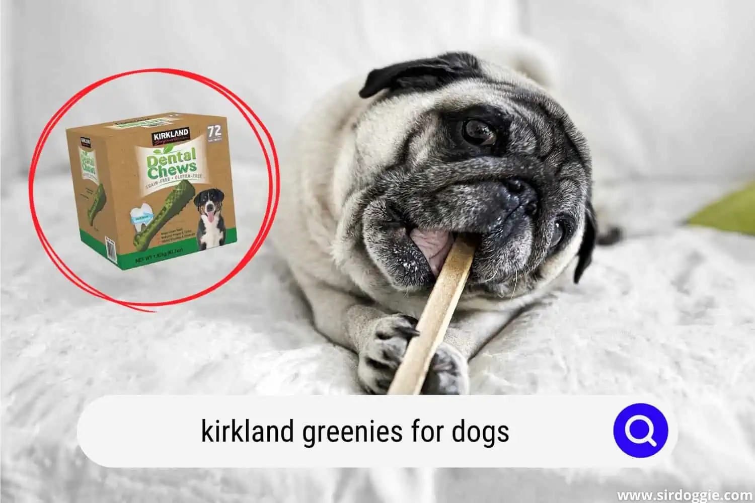 kirkland greenies for dogs