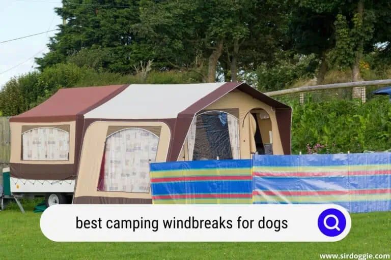 4 Best Camping Windbreaks for Dogs for 2023