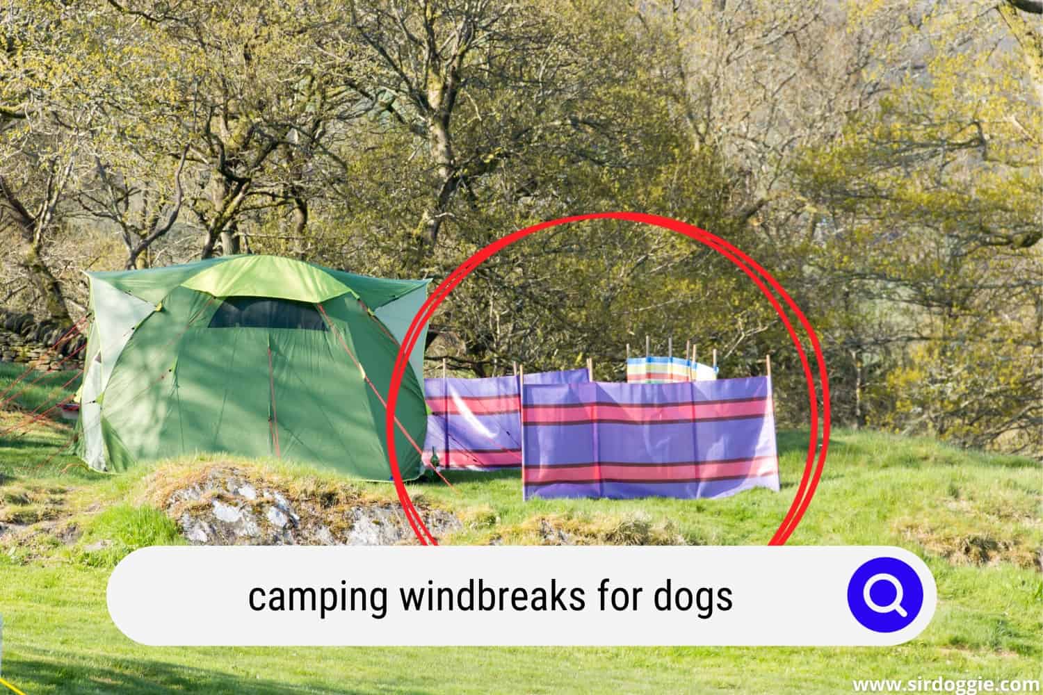 camping windbreaks for dogs