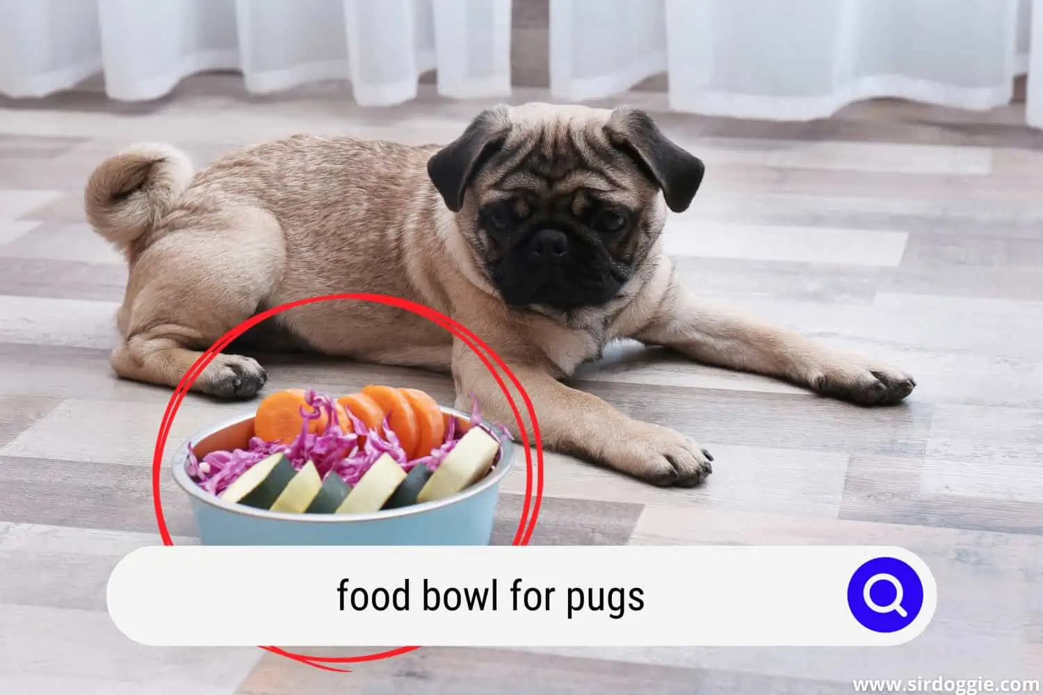 food bowl for pugs
