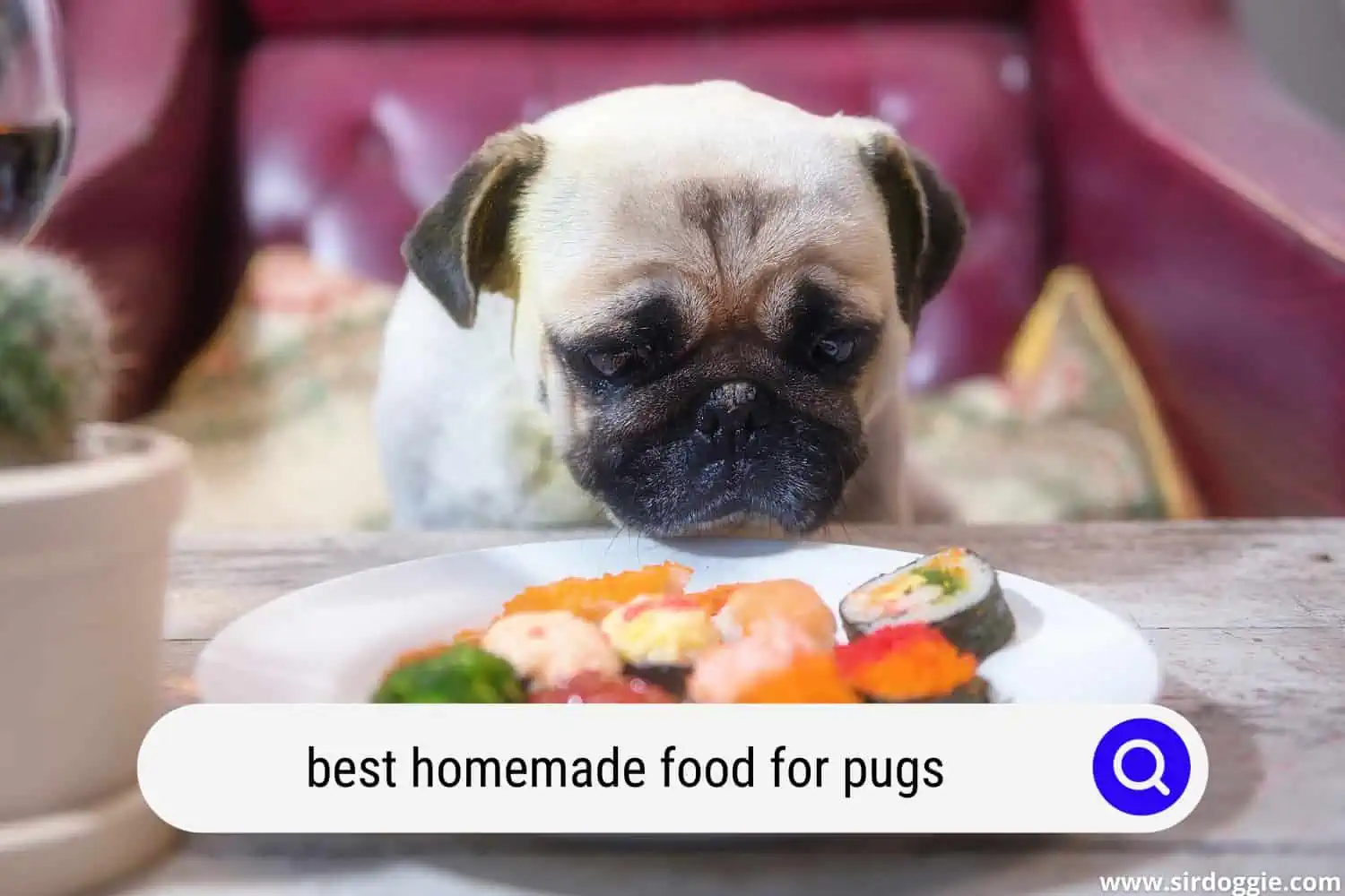 best homemade food for pugs