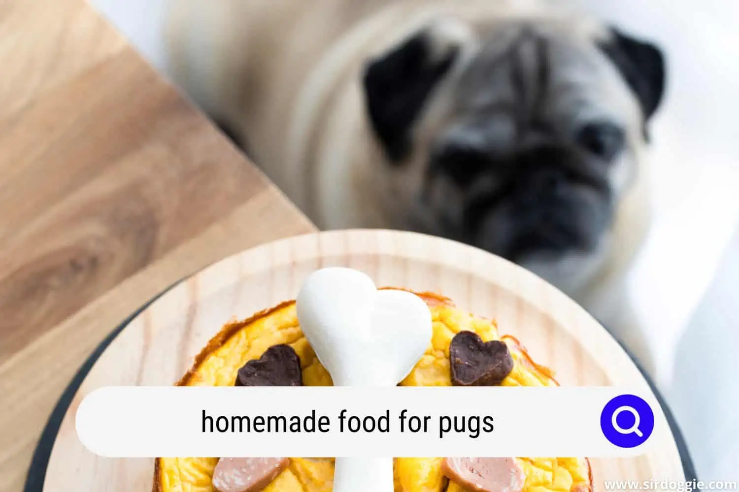 homemade food for pugs